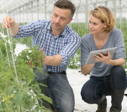 agriculture-brochure