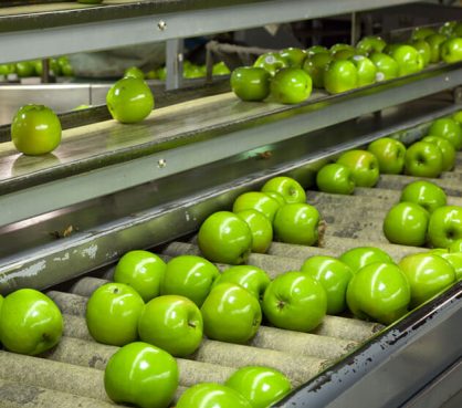 magnificent-sap-ams-win-for-a-food-processing-behemoth