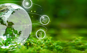 EUDR Compliance: Your Business Guide for 2025