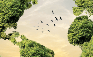 CSRD: A Simpler Guide to EU's Sustainability Reporting