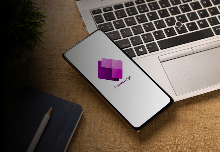PowerApps Portal Setup for a Global Dairy Company