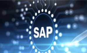 NeoLoad for SAP: Best Practices for Performance & Volume Testing